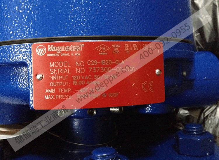 Magnetrol外籠式液位開關C29-1B20-CLA